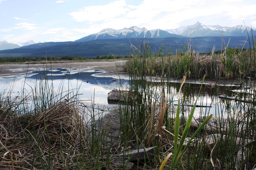 Where has all the water gone? Valemount’s Cranberry marsh muddy; wells run dry