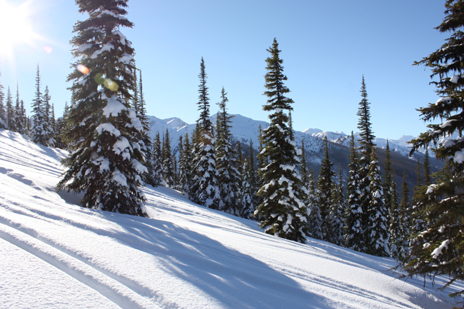 crystal ridge ski board sled valemount bc alpine winter – The Rocky ...