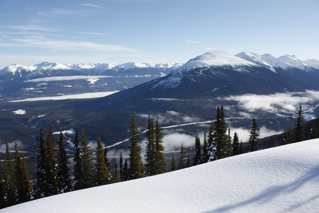 No helmets worn in fatal snowmobile incident