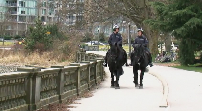 Dunster Horses patrol Vancouver streets