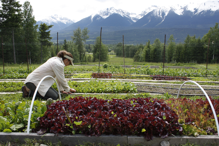 Farmer’s Markets launch this week