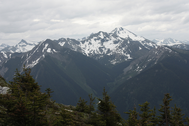 Watershed logging for local interests: community forest