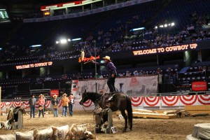 Tom Ryan competing in the Calgary Stampede Cowboy Up Challenge