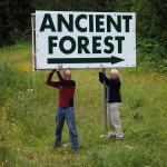 New sign directing hikers to the Ancient Forest