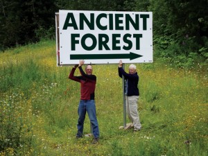 Ancient Forest - New Sign McBride Robson Valley Ancient Forest McBride Robson Valley 2012