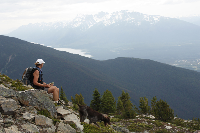 New emergency communications tower sought in Valemount