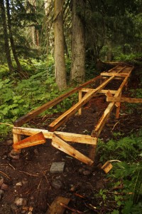 Ancient Forest BC boardwalk Robson Valley