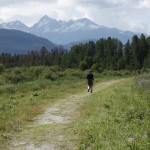 marsh trail