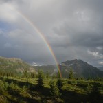 Rainbow in the Blueberry