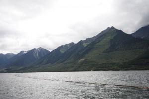 fishing_derby_2012_3