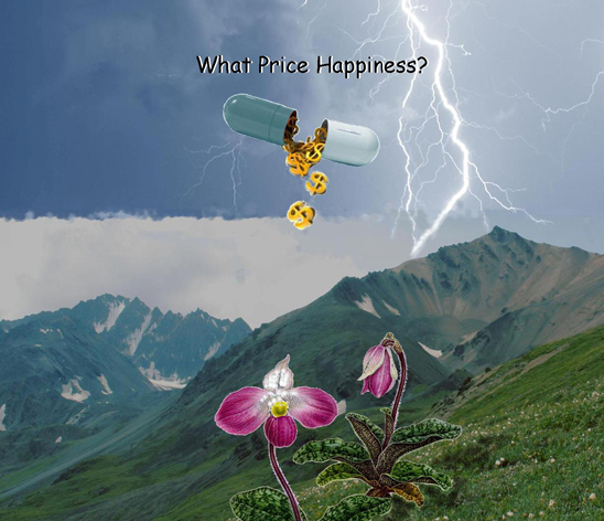 What price happiness?