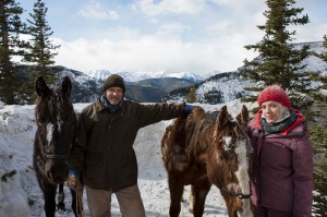 McBride Horses