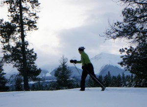 Cross-country skiing ski Jackman Flats Valemount