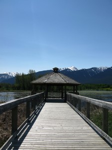 Horseshoe lake is valued as a local picnic and bird watching site by residents and tourists.