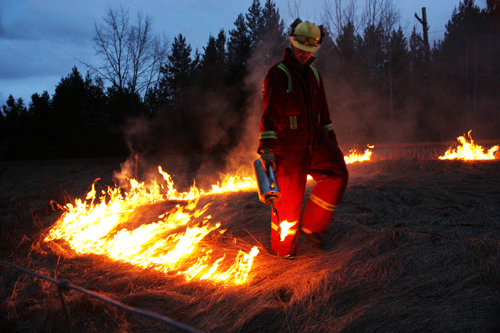 Controlled burn along CN tracks