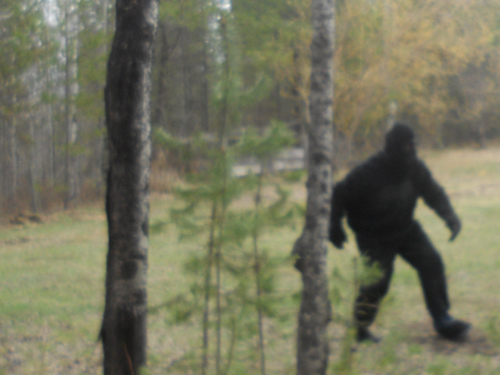 Bigfoot spotted in Valemount BC