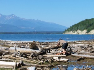 Valemount, Lumber Mill, reclaimed wood, dome creek, ancient forest, robson valley