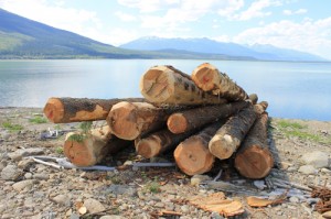 Kinbasket, Robson Valley, dead wood, drift wood, debris management, BC hydro, Spaz Logging, valemount marina