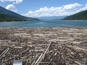 Kinbasket, Robson Valley, dead wood, drift wood, debris management, BC hydro, Spaz Logging, valemount marina