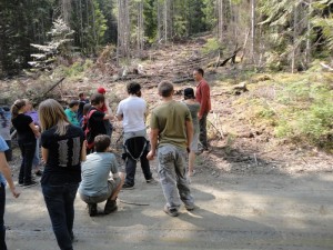 Valemount Community Forest, Shane Bressette, Robson Valley, BC forestry