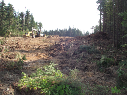 Telus site clearing dome creek tower