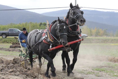 New funding for festivals – including Fraser Heritage festival