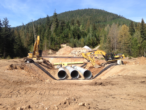 Trans Mountain pipeline maintenance delayed at creeks due to fish