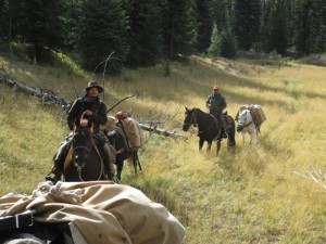 south fork horse camp, snake indian river, sean elliott, north boundary trail, moose river, travis anderson, willmore provincial park, astoria, jasper, jasper national park, willmore wilderness park, 