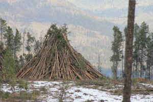 Valemount Community Forest Corporation, Valemount, Robson Valley, community wildfire protection plan, cedarside