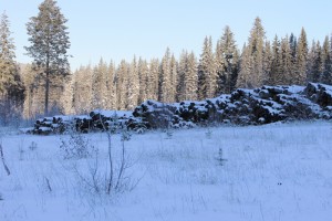 canoe mountain, logs, rotting