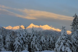 premier, premier range, premier mountain, mountain, snow, snow peak, tree, sunrise