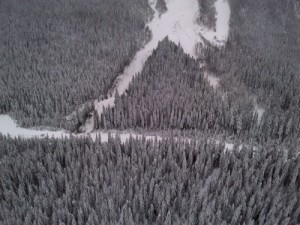 avalanche, snow, trees, mountain