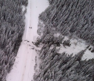 avalanche, snow, trees, mountain