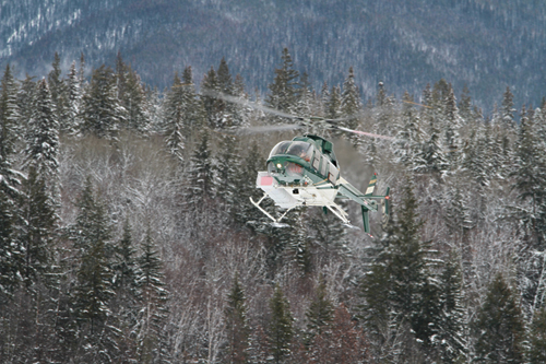 avalanche, snow, trees, mountain, helicopter, rescue