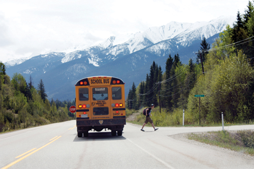 school, school bus, child, children, school children, student, bus stop