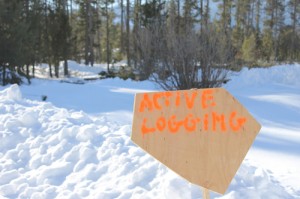 active logging, logging, sign, forestry, forest