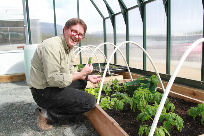 First greens in the Valemount Secondary greenhouse