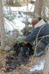 cranberry marsh geothermal fault owen torgerson