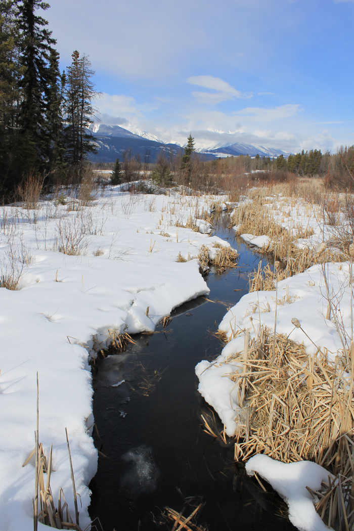 ATVs in Cranberry Marsh? Gov seeks input on management plan