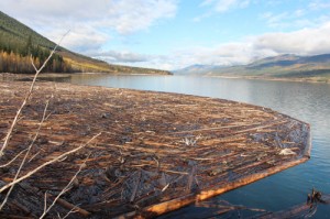Debris penned by boom logs in Kinbasket Reservoir
