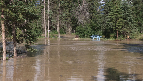 Fire, flood and hazard, by text