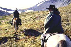 Photo: Chris D’Alessandro The horse has had months of therapy and is feeling much better. Pity we can’t say the same for the bear.