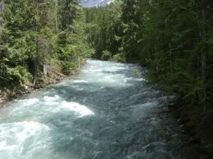 Jen Scheller Robson River (2)