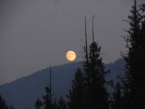 Mick Callas smoky moon Thursday night