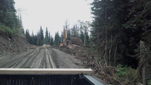 Valemount's 5-Mile road 2014 logging and road upgrades are underway