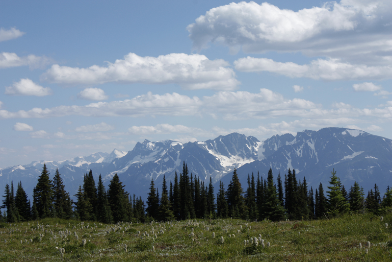 Letter: View from an alpine meadow