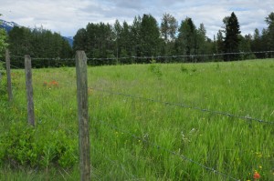 Robson Valley Farmland