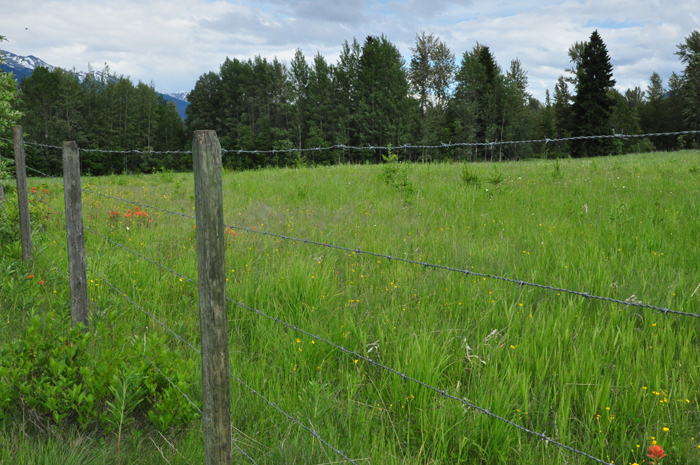 BC tweaks farmland boundaries – including Robson Valley parcels