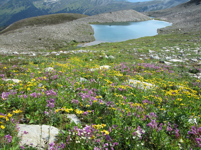 A hike behind McBride Peak