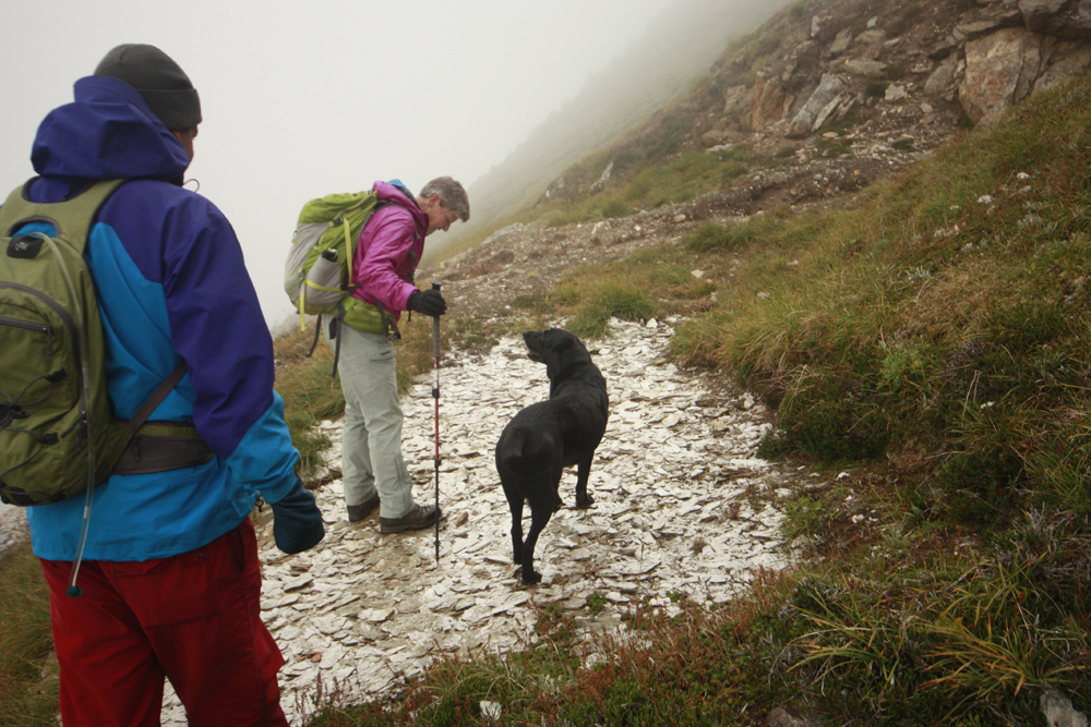 Mica Mine Trail: discover an old mica mine and mule trail